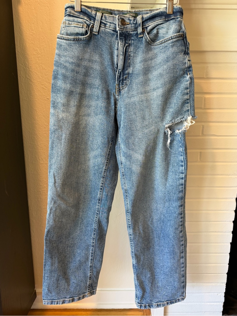 Wild Fable 90s Relaxed Straight High Rise Distressed Jeans Size 2